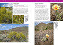 Trees and Shrubs of the Pacific Northwest