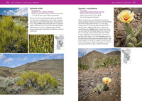 Trees and Shrubs of the Pacific Northwest