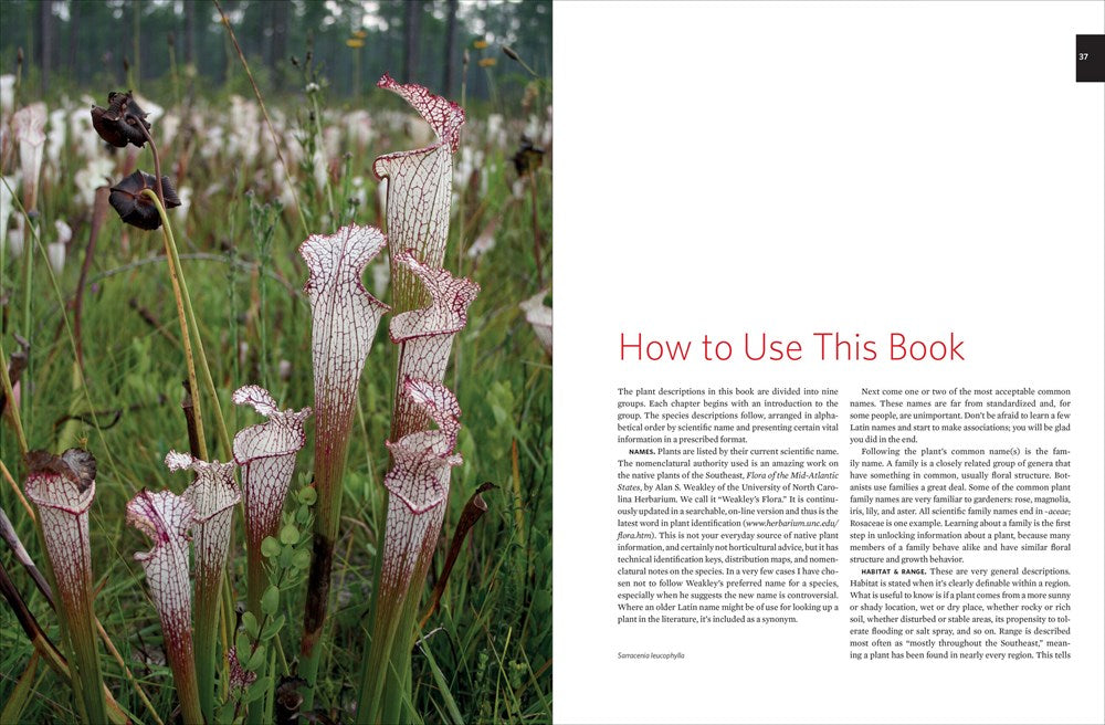 Native Plants of the Southeast