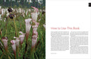 Native Plants of the Southeast