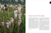 Native Plants of the Southeast