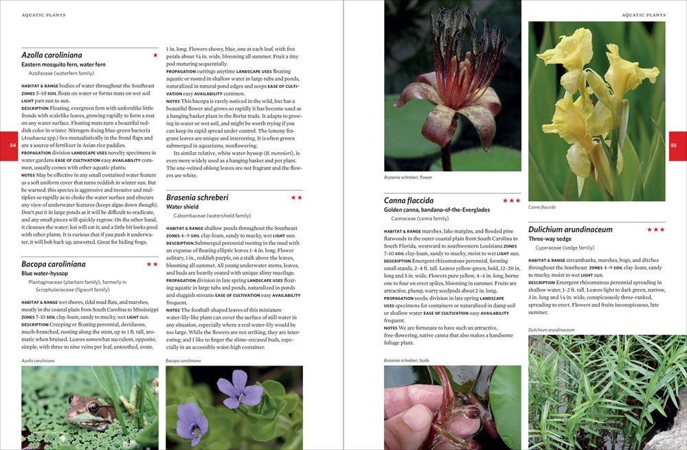 Native Plants of the Southeast