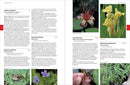 Native Plants of the Southeast