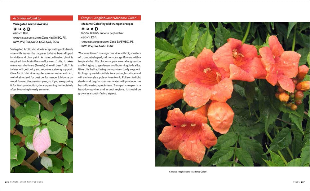 Gardening in the Pacific Northwest