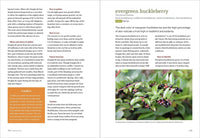 California Foraging