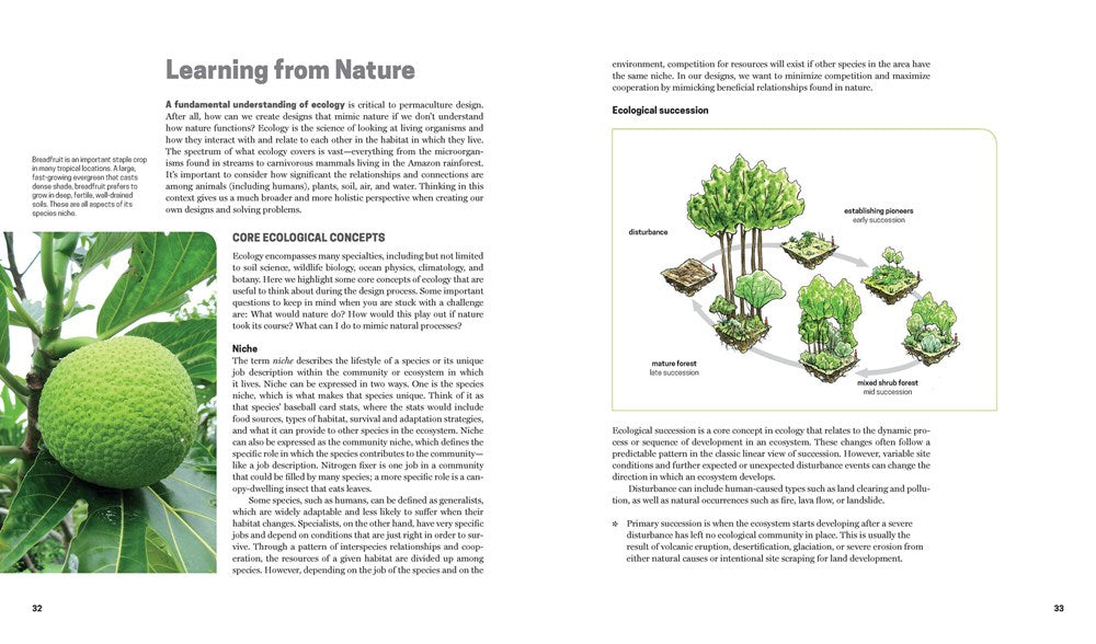 Practical Permaculture