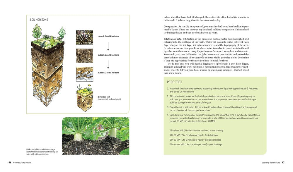 Practical Permaculture