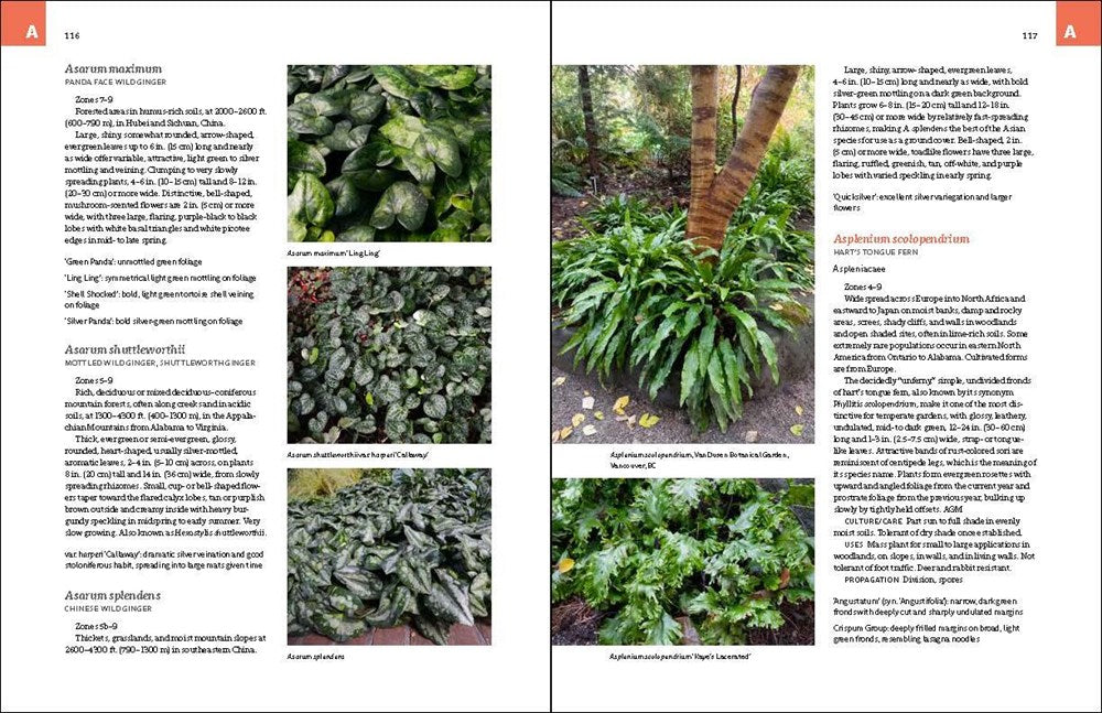 The Complete Book of Ground Covers