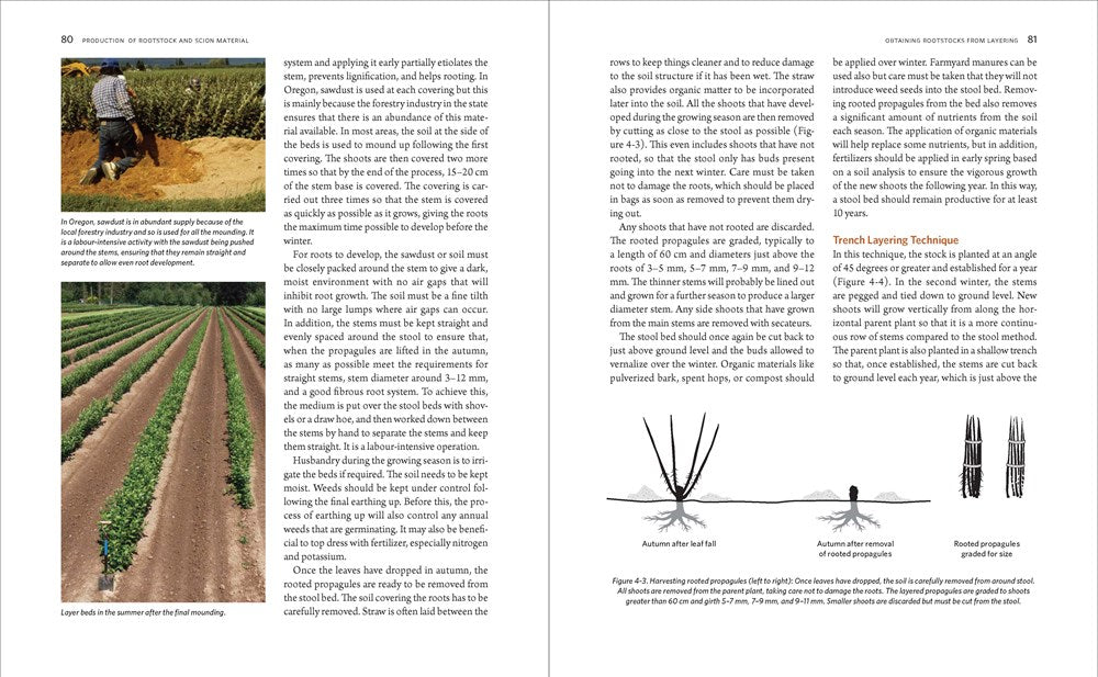 The Manual of Plant Grafting