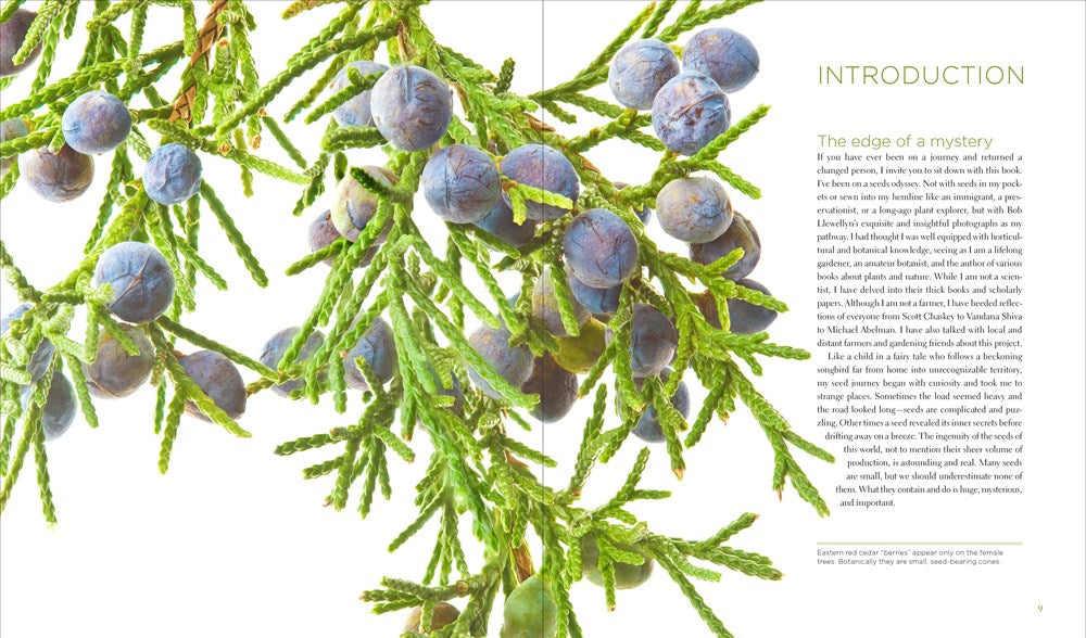 Seeing Seeds