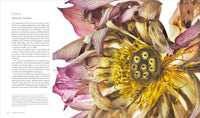 Seeing Seeds