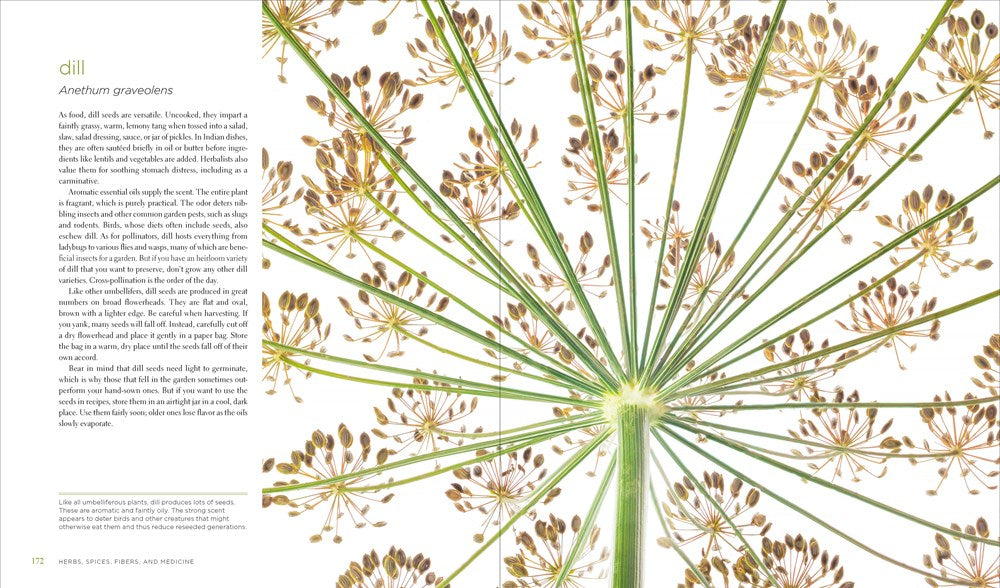 Seeing Seeds