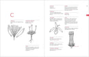 A Botanist's Vocabulary