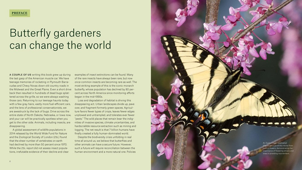 Gardening for Butterflies