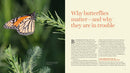 Gardening for Butterflies