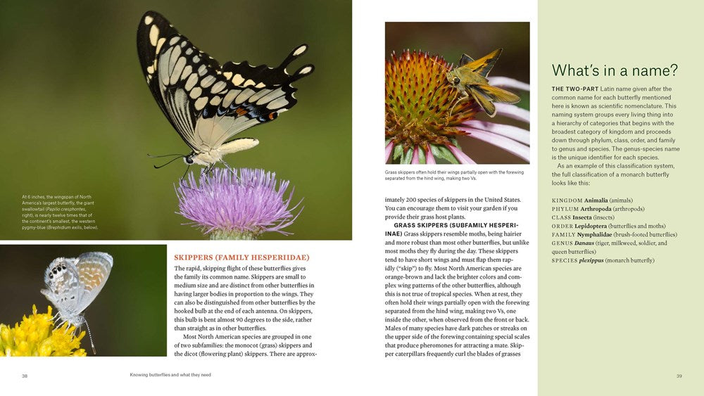 Gardening for Butterflies