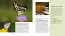 Gardening for Butterflies