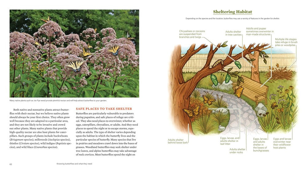 Gardening for Butterflies