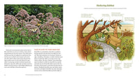 Gardening for Butterflies
