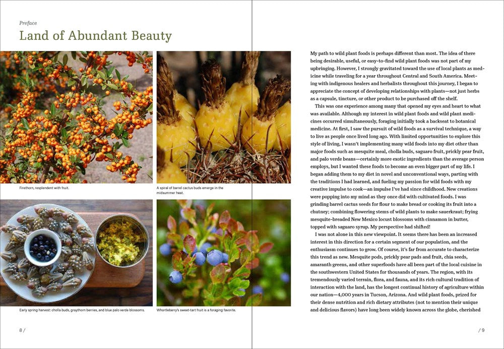 Southwest Foraging