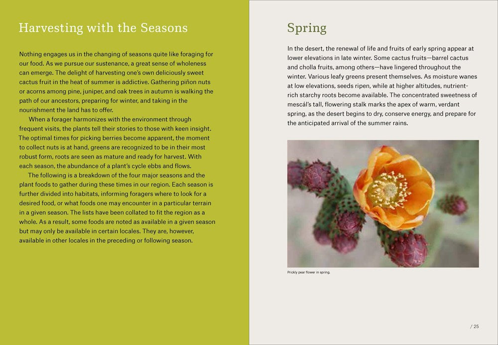 Southwest Foraging