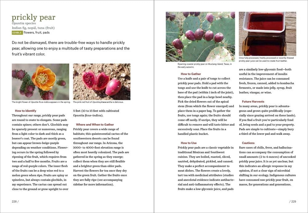 Southwest Foraging