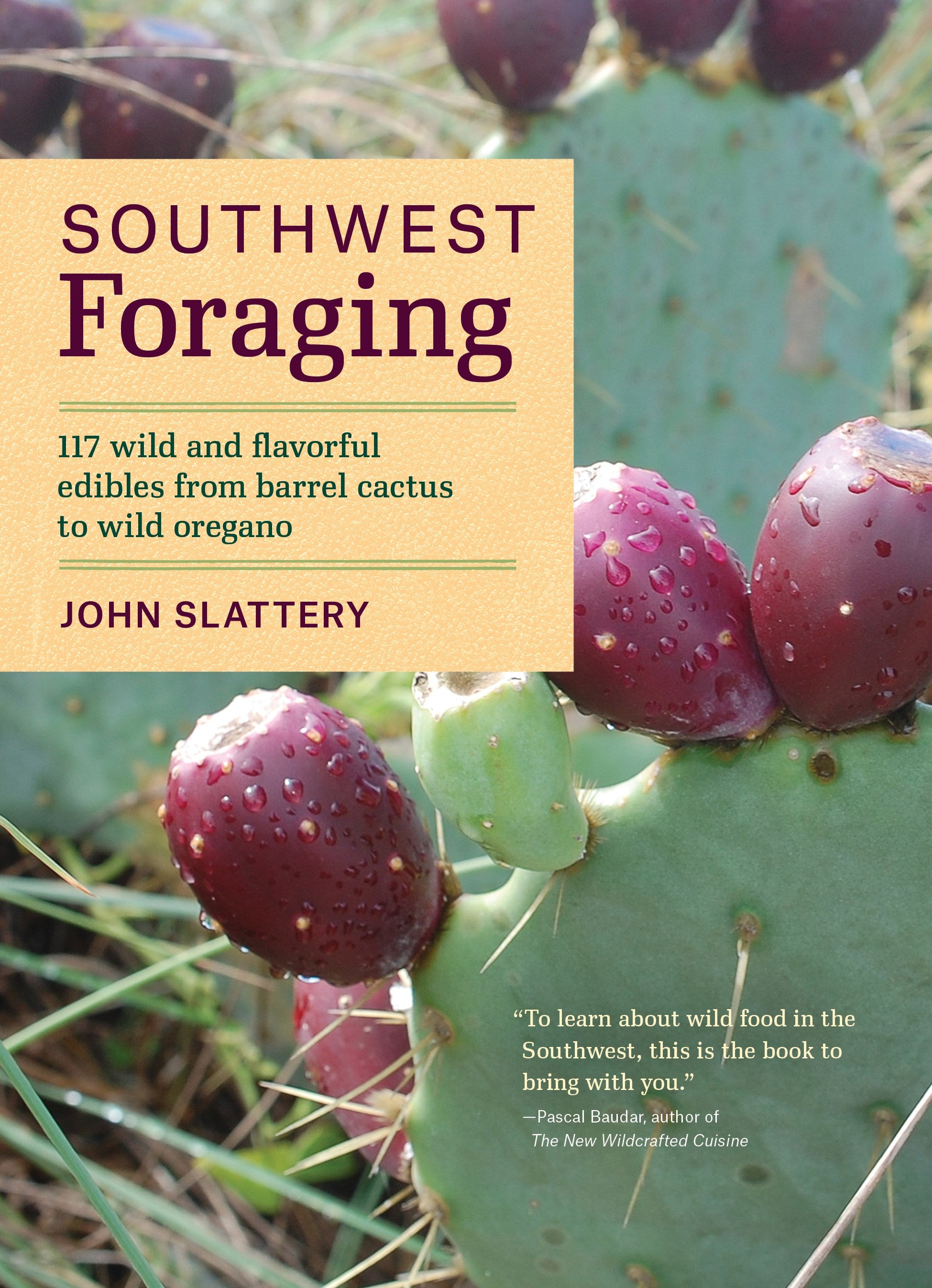 Southwest Foraging: 117 Wild and Flavorful Edibles from Barrel Cactus to Wild Oregano