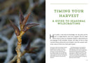 Mountain States Medicinal Plants