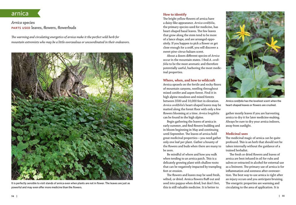 Mountain States Medicinal Plants