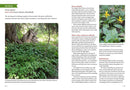 Mountain States Medicinal Plants