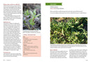 Mountain States Medicinal Plants