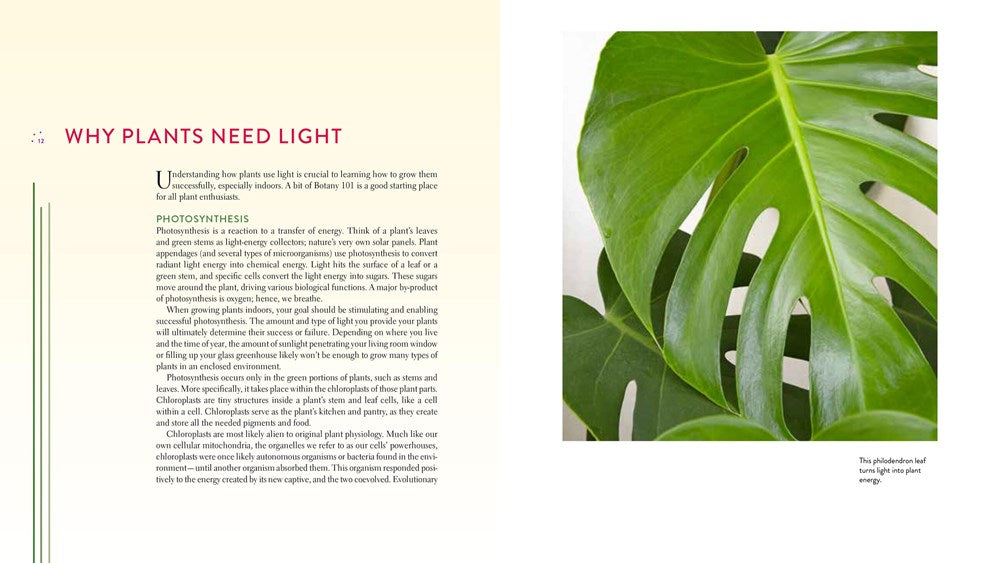 Gardening Under Lights