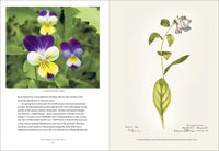 Emily Dickinson's Gardening Life