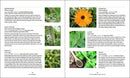 Master Recipes from the Herbal Apothecary: 375 Tinctures, Salves, Teas, Capsules, Oils, and Washes for Whole-Body Health and Wellness