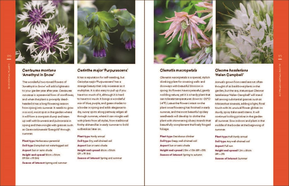 The Modern Cottage Garden