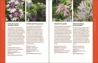 The Modern Cottage Garden