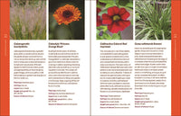 The Modern Cottage Garden