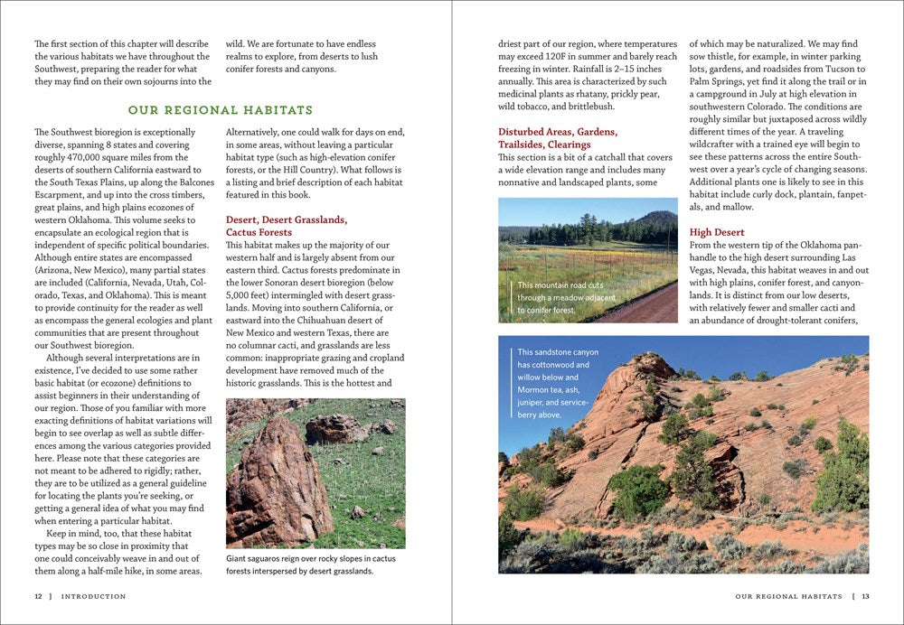Southwest Medicinal Plants