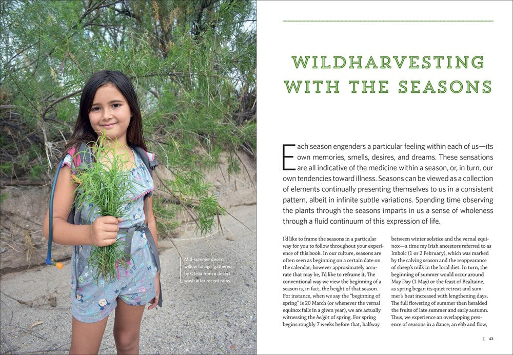 Southwest Medicinal Plants
