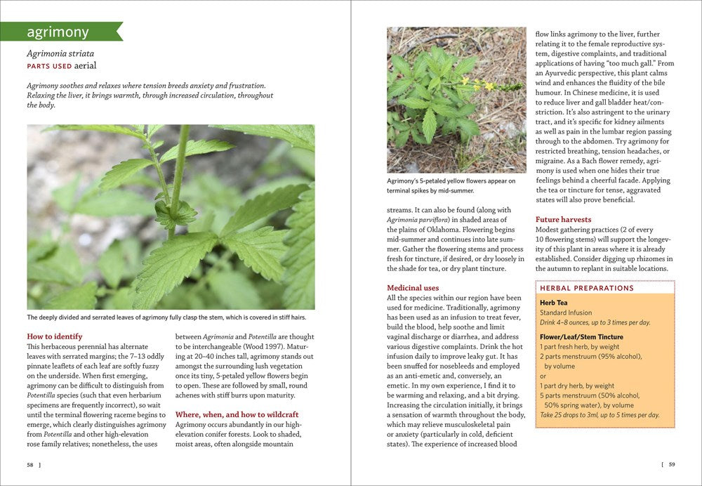 Southwest Medicinal Plants
