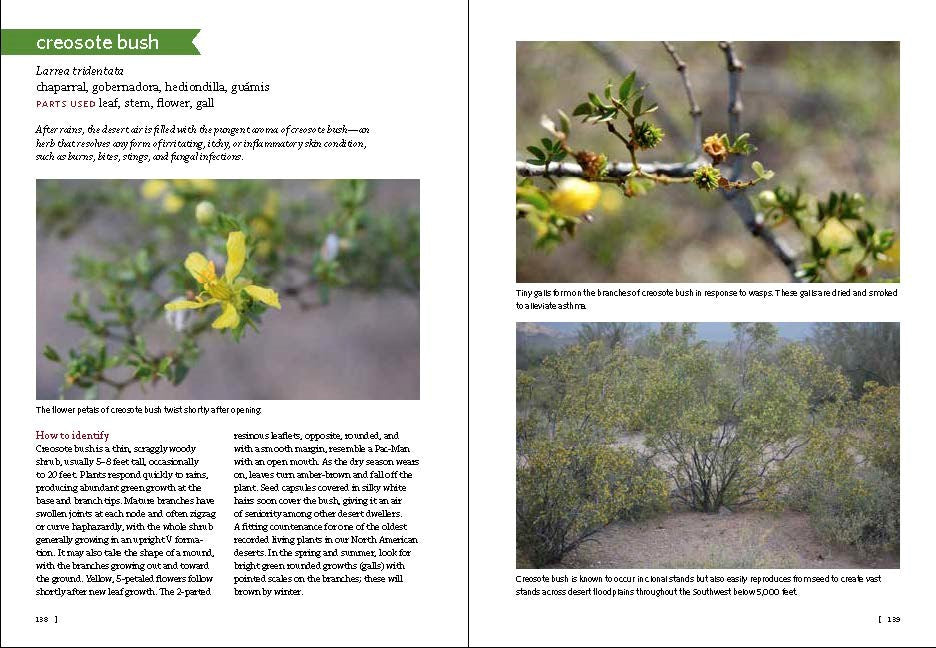 Southwest Medicinal Plants