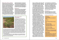Southwest Medicinal Plants