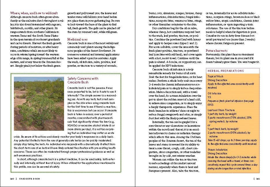 Southwest Medicinal Plants
