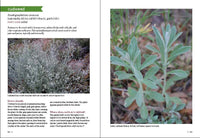 Southwest Medicinal Plants