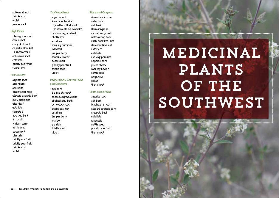 Southwest Medicinal Plants