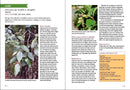 Southwest Medicinal Plants
