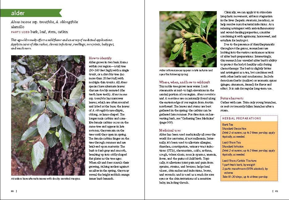 Southwest Medicinal Plants
