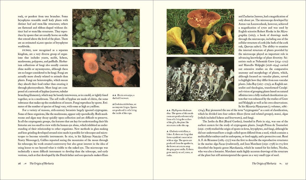 Herbarium