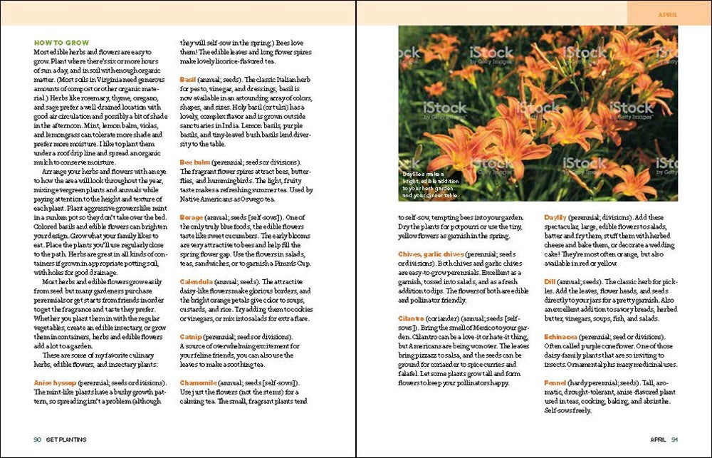 Grow Great Vegetables in Georgia