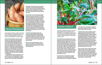 Grow Great Vegetables in Tennessee